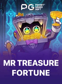 MR TREASURE FORTUNE